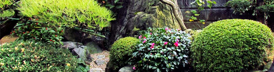 採用情報、ヤマ造園(ヤマゾウエン)は心の和むガーデンライフを提供します。