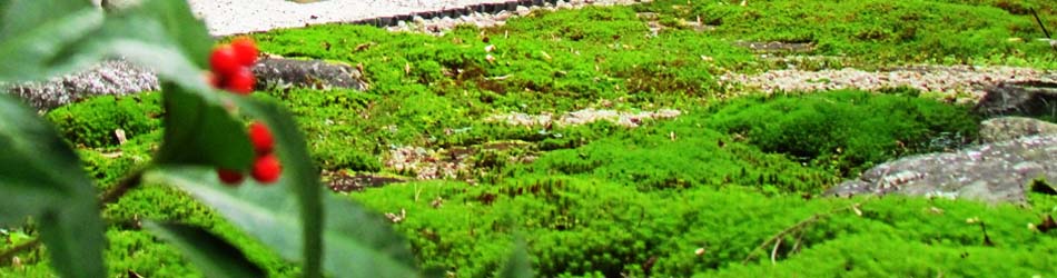 害虫駆除のお仕事、ヤマ造園(ヤマゾウエン)は心の和むガーデンライフを提供します。