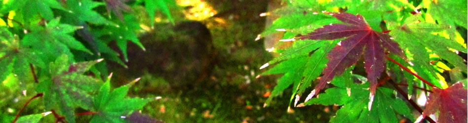 よくいただく質問、ヤマ造園(ヤマゾウエン)は心の和むガーデンライフを提供します。