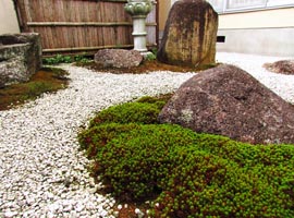 苔の緑が景石の個性を引き立てます。