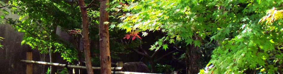 ギャラリー、ヤマ造園(ヤマゾウエン)は心の和むガーデンライフを提供します。