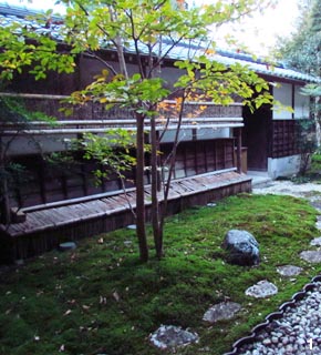 苔は湿気のみで育つので水やりは特に必要としません。