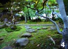 地元で産出された石を飛び石に使用。