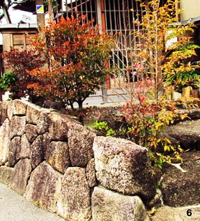 紅葉するドウダンツツジがアクセントになっています。