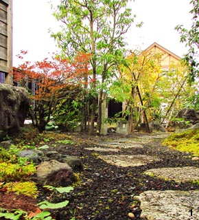 株立ちの雑木が数多く植栽されています。