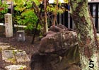 独特の風合いのある景石。